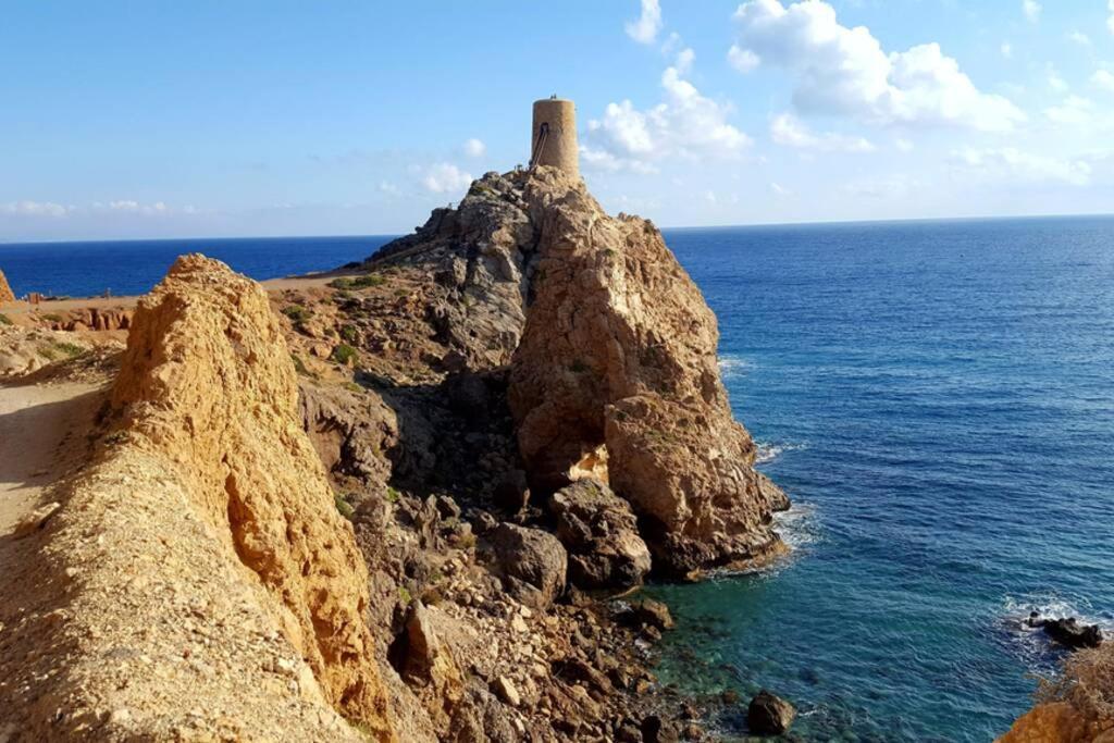 Macenas -almeria